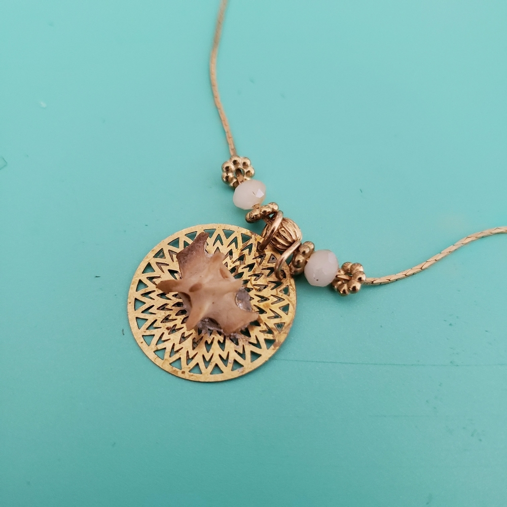 ❌️SOLD❌️Steampunk snake vertebrae gold choker